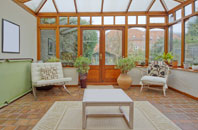 free Rinsey conservatory quotes